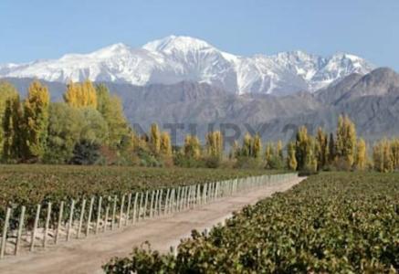 San Antonio , Luján De Cuyo, Mendoza 00001, Argentina