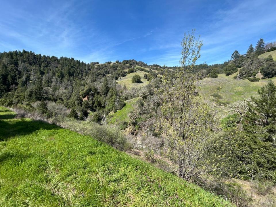 57451 Foster Creek Rd., Laytonville, Kaliforniya 95454, Amerika Birleşik Devletleri