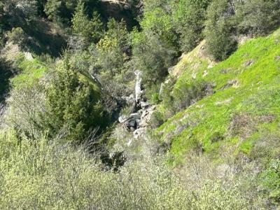 57451 Foster Creek Rd., Laytonville, Kaliforniya 95454, Amerika Birleşik Devletleri