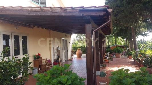 Strada Pedemontana, Capalbio, Toscana 58011, 義大利