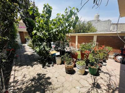 Cerrada de Pino 11,, Xochimilco, Ciudad De México 16610, México