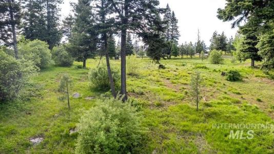 1420 Club Hill Blvd., McCall, Idaho 83638