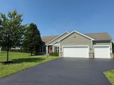 217 Warbler Court, Pickerington, 俄亥俄州 43147, 美国