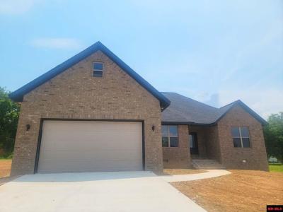 238 S SHEEKS DRIVE, Mountain Home, Arkansas 72653, États-Unis