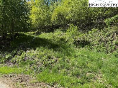 6 Wakeman Way, Banner Elk, NC 28604, USA