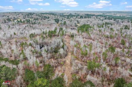TBD Haynes Road, Marshall, Texas 75671