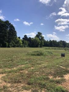 TBD Meadow Lane, Naples, Texas 75568