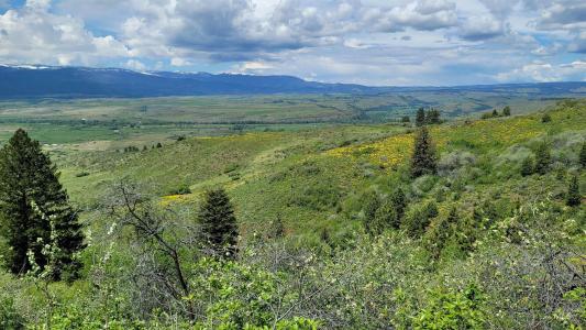 2488 Lappin Lane, Council, Idaho 83612, Estados Unidos