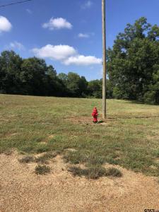 TBD Meadow Lane, Naples, Texas 75568