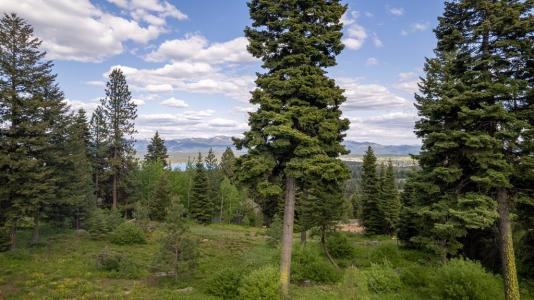 1420 Club Hill Boulevard 4, McCall, Idaho 83638