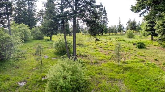 1420 Club Hill Boulevard 4, McCall, Idaho 83638