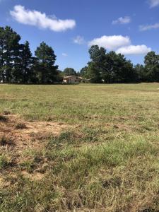 TBD Meadow Lane, Naples, Texas 75568