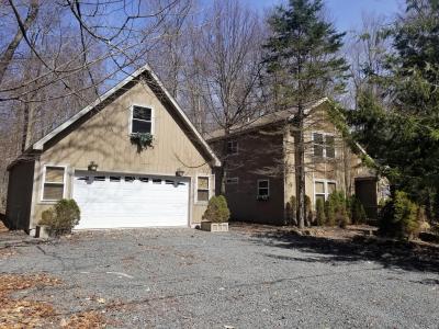 4116 Winona Drive, Pocono Lake, Pennsylvania 18347, USA