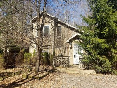 4116 Winona Drive, Pocono Lake, Pennsylvania 18347