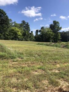 TBD Meadow Lane, Naples, Texas 75568