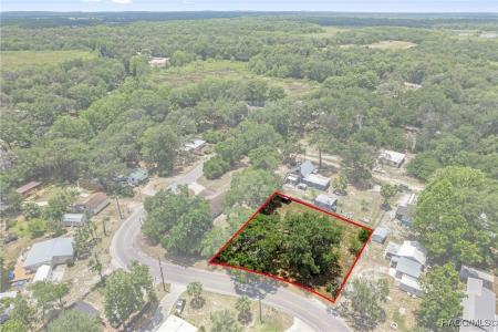 10575 E Gobbler Drive, Floral City, Florida 34436
