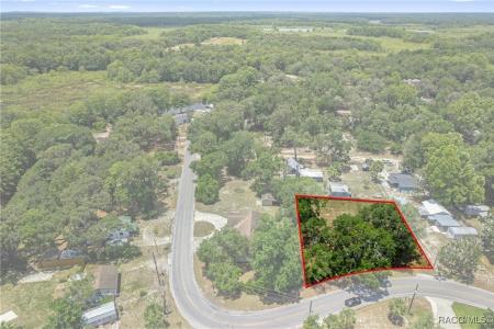 10575 E Gobbler Drive, Floral City, Florida 34436