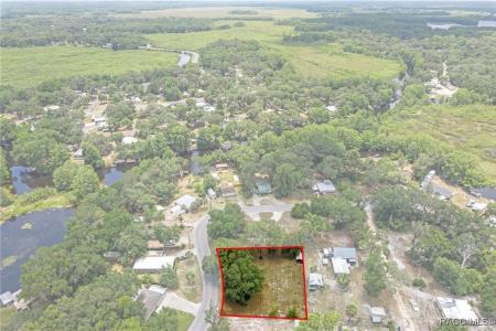 10575 E Gobbler Drive, Floral City, Florida 34436