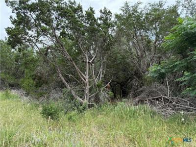 Tbd Salado Oaks Street, Salado, Texas 76571