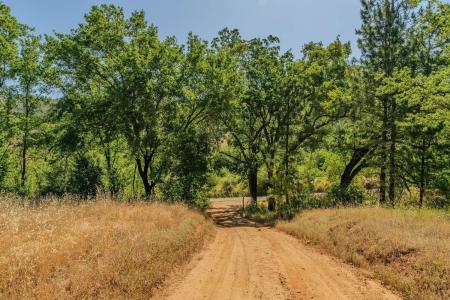 Hawver Road, Mokelumne Hill, California 95245