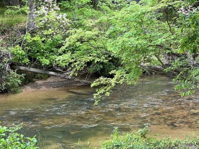 Lot 52 Madeline Way, Blairsville, Georgia 30512, USA