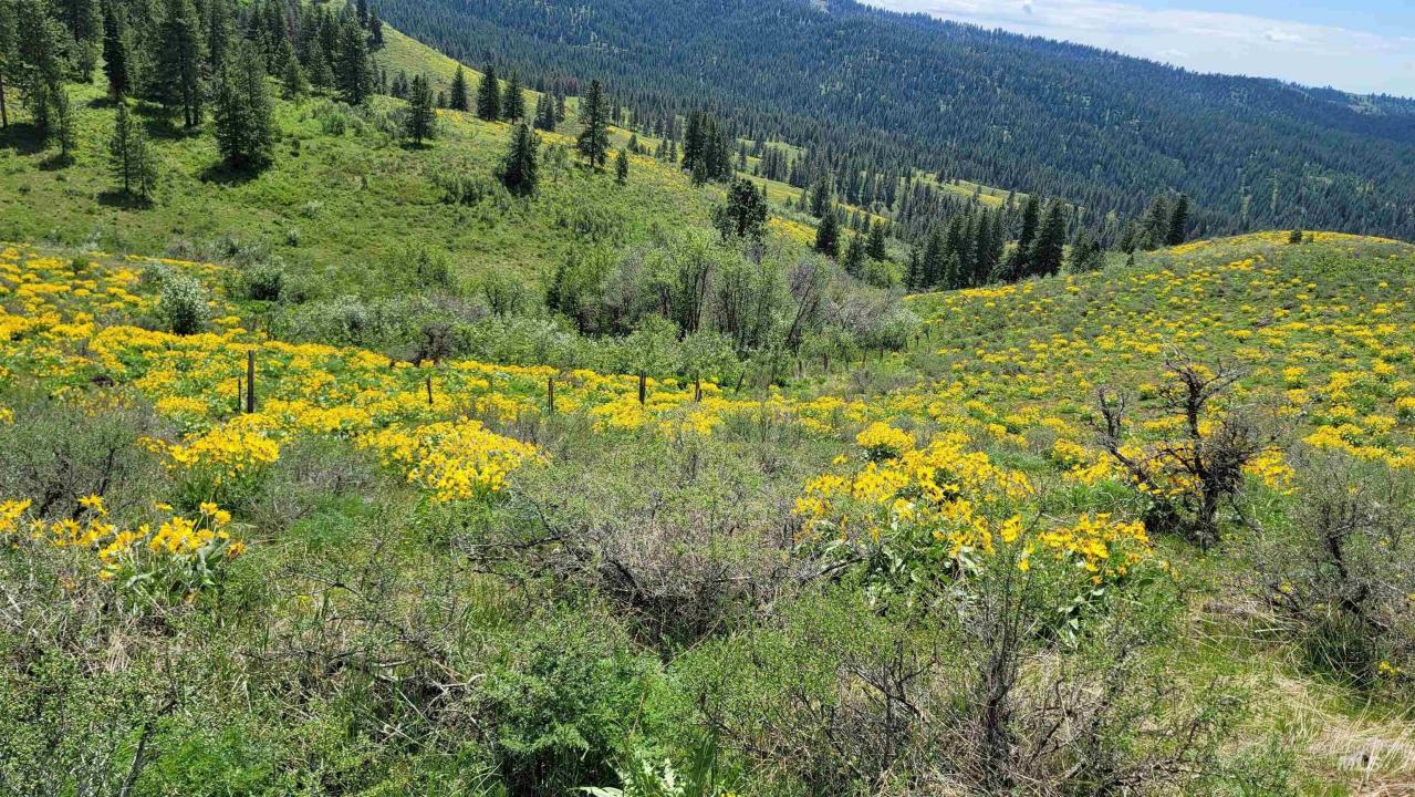 2488 Lappin Lane, Council, Idaho 83612