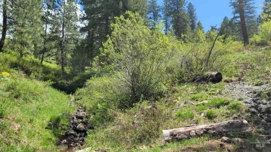 2488 Lappin Lane, Council, Idaho 83612