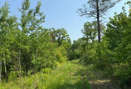 TBD County Road T, Dairyland, Wisconsin 54830, États-Unis