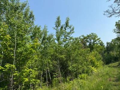 TBD County Road T, Dairyland, Wisconsin 54830, États-Unis
