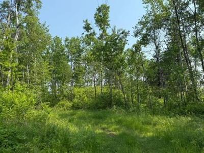 TBD County Road T, Dairyland, Wisconsin 54830, États-Unis