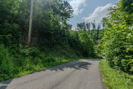 361 Oakwood Drive, Sevierville, Tennessee 37876, Estados Unidos