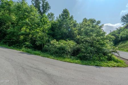 361 Oakwood Drive, Sevierville, Tennessee 37876, Estados Unidos