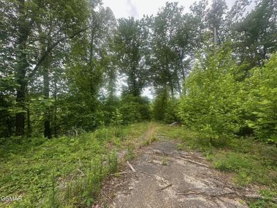 361 Oakwood Drive, Sevierville, Tennessee 37876, Estados Unidos