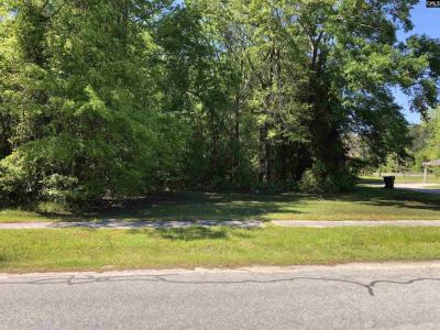 0 Middle Street, Bamberg, South Carolina 29003, HOA KỲ