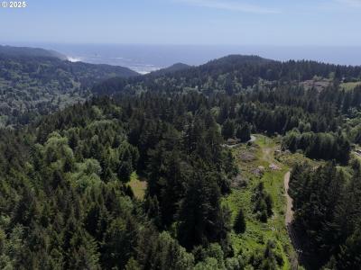 20452 Whaleshead RD, Brookings, ولاية أوريغون 97415, الولايات المتحدة