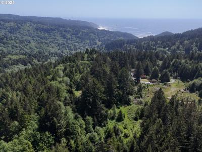 20452 Whaleshead RD, Brookings, ولاية أوريغون 97415, الولايات المتحدة