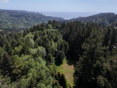 20452 Whaleshead RD, Brookings, ولاية أوريغون 97415, الولايات المتحدة