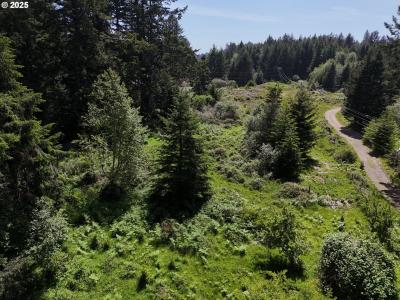 20452 Whaleshead RD, Brookings, ولاية أوريغون 97415, الولايات المتحدة