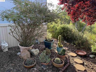 8400 Old Melones Dam Road #42 42, Jamestown, California 95327, USA