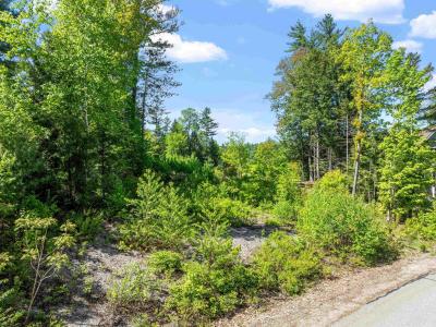 00 Edgewater Lane, Thornton, New Hampshire 03285, États-Unis