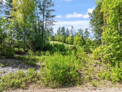 00 Edgewater Lane, Thornton, New Hampshire 03285, États-Unis