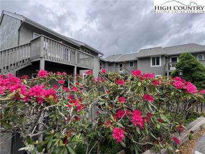367 Skyleaf Drive D-5, Sugar Mountain, NC 28604, USA