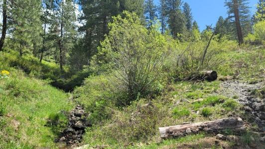 2488 Lappin Lane, Council, Idaho 83612