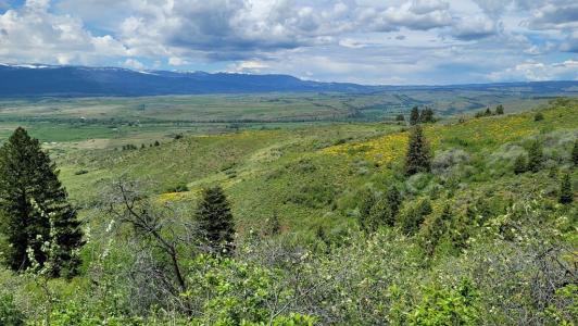 2488 Lappin Lane, Council, Idaho 83612