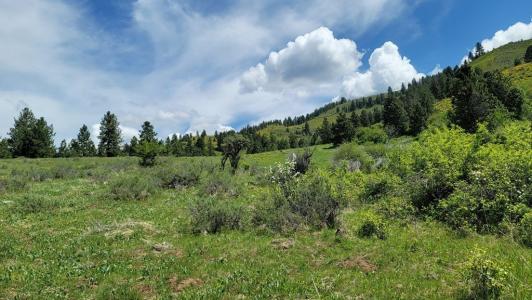 2488 Lappin Lane, Council, Idaho 83612