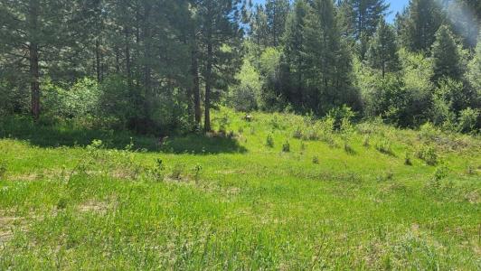 2488 Lappin Lane, Council, Idaho 83612