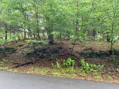 88 Beaver Lane, East Stroudsburg, פנסילבניה 18301, ארצות הברית של אמריקה 