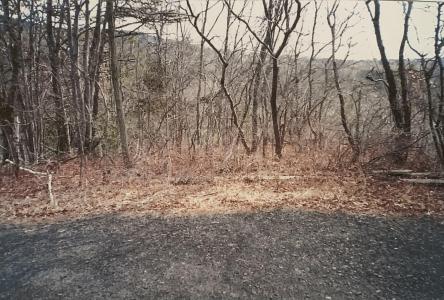 88 Beaver Lane, East Stroudsburg, פנסילבניה 18301, ארצות הברית של אמריקה 
