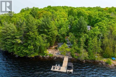 276 JEFFREY ROAD NORTH, Ryerson, Ontario P0A 1C0, Kanada