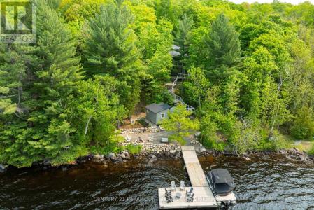 276 JEFFREY ROAD NORTH, Ryerson, Ontario P0A 1C0, Kanada